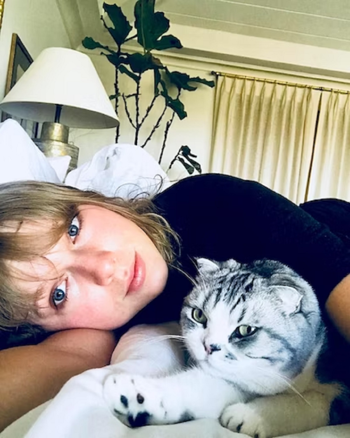 ‘Taylor Swift’ respond to a fan who criticized her for frequently kissing and been seeing with her cat stating, I cant be without my cat Tavis emphasizing the importance of her feeling companion in her life