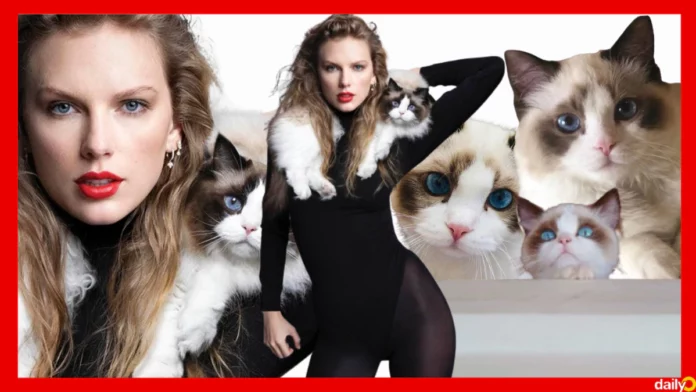 Why Taylor Swift's Cat Benjamin Button Was the Ideal Feline to Join the Star on Her Time Cover