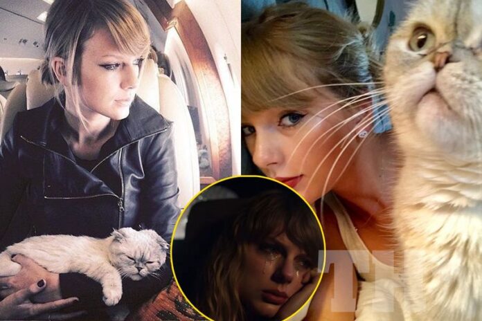 Olivia Benson was Taylor Swift’s favorite cat. Taylor Swift was in tears after losing her beloved cat, Olivia Benson whom she purchased for $97 million. Olivia passed away at the age of 20, bringing profound sadness to Taylor Swift.