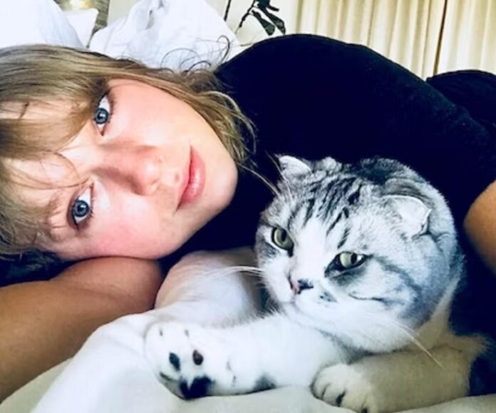 ‘Taylor Swift’ respond to a fan who criticized her for frequently kissing and been seeing with her cat stating, I cant be without my cat Tavis emphasizing the importance of her feeling companion in her life